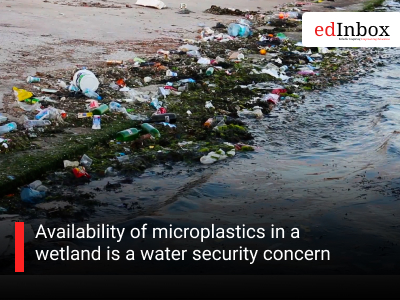 Availability of microplastics in a wetland is a water security concern